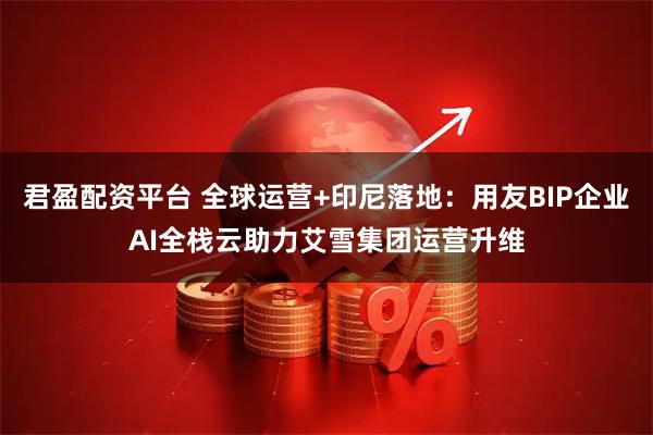 君盈配资平台 全球运营+印尼落地：用友BIP企业AI全栈云助力艾雪集团运营升维