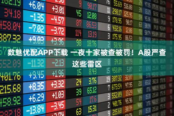 数魅优配APP下载 一夜十家被查被罚!A股严查这些雷区
