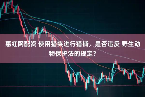 惠红网配资 使用猎夹进行猎捕，是否违反 野生动物保护法的规定？