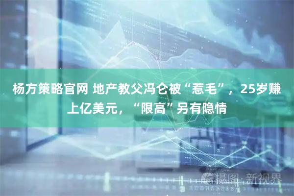 杨方策略官网 地产教父冯仑被“惹毛”,25岁赚上亿美元,“限高”另有隐情